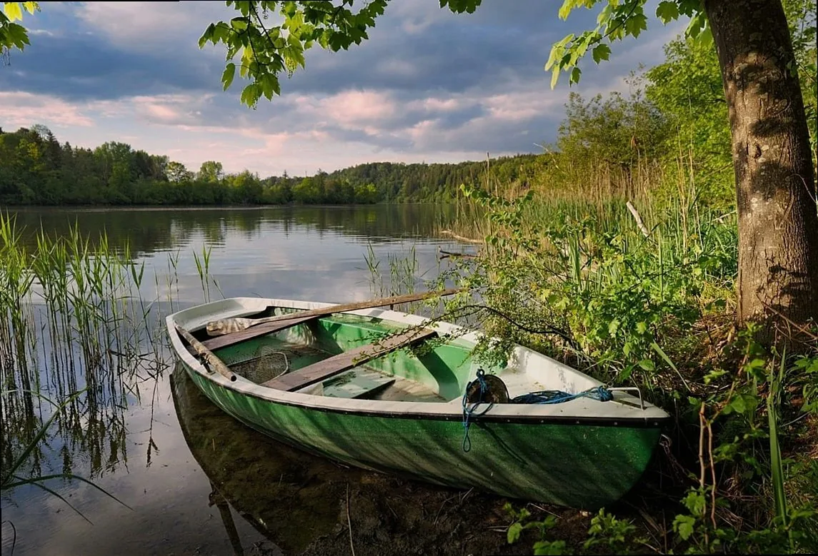 lake, boat, reflection, nature, calm, reeds, tree, spring, sky, landscape, peace, green, stillness, shore, bushes, cloud